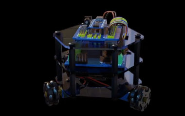 stem
